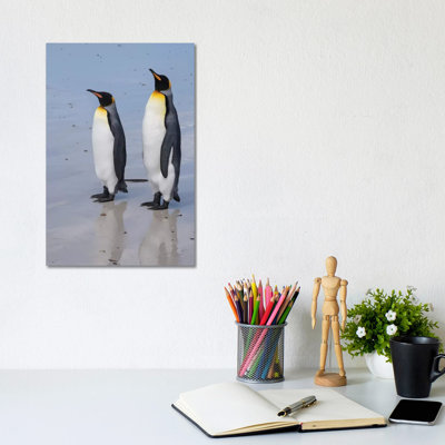 Portrait Of Two King Penguins, Aptenodytes Patagonica, On A White Sandy Beach. by Sergio Pitamitz - Gallery-Wrapped Canvas Giclée on Canvas