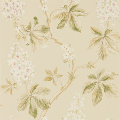 Chestnut Tree Wallpaper