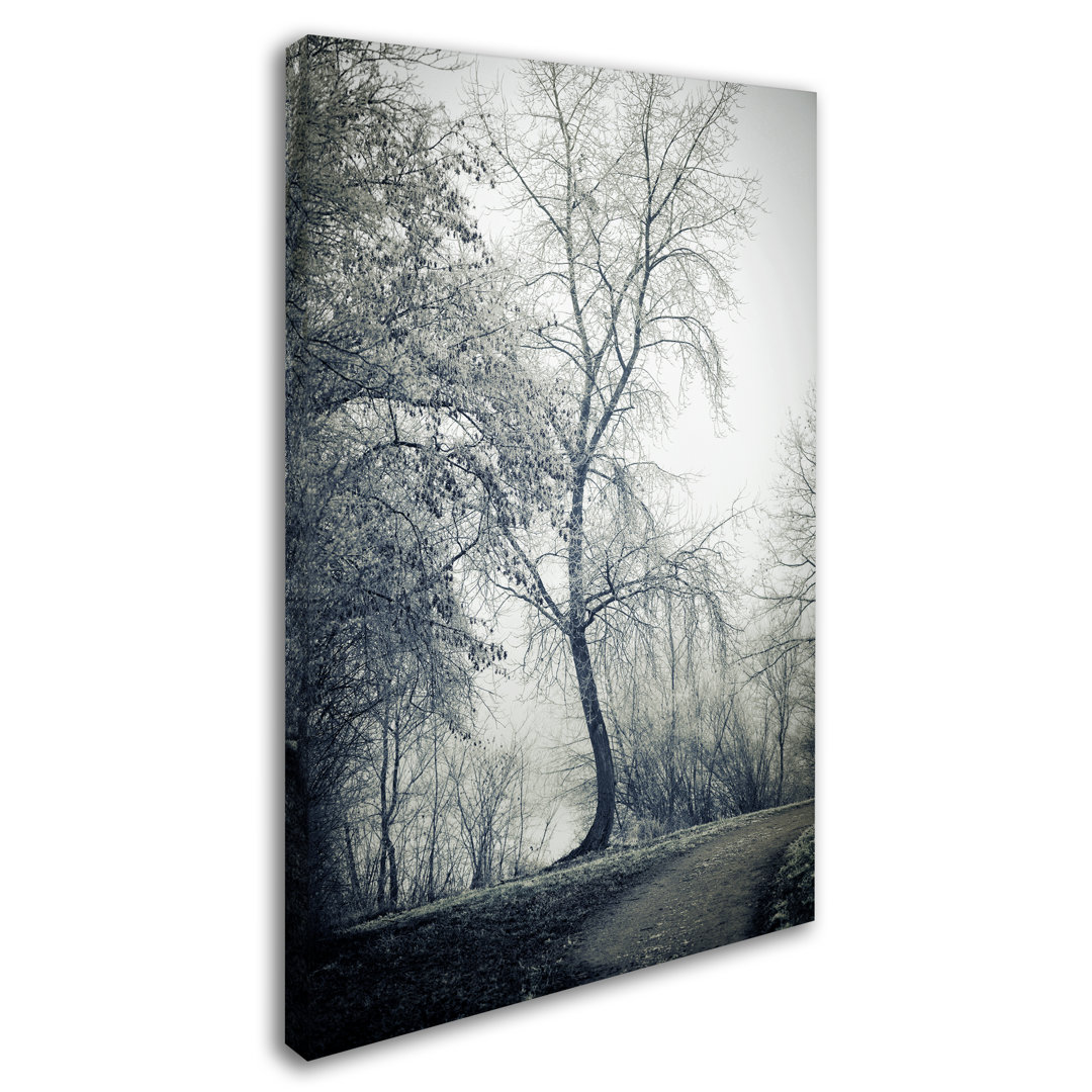 Past Lives - Photograph Print on Canvas Ebern Designs 