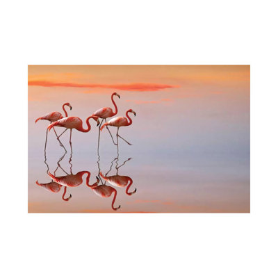 Flamingos Family 1 Piece Wrapped Canvas Painting