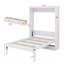 Lit escamotable avec 2 tiroirs Murphy