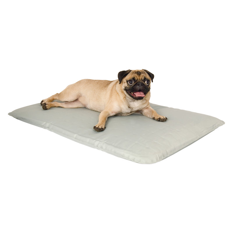 Tapis rafraichissant pour animaux, Petit (l 24 po x P 17 po x H 1,5 po)