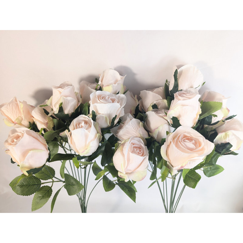 Boutons de roses en fleurs qui rêvent, Rose