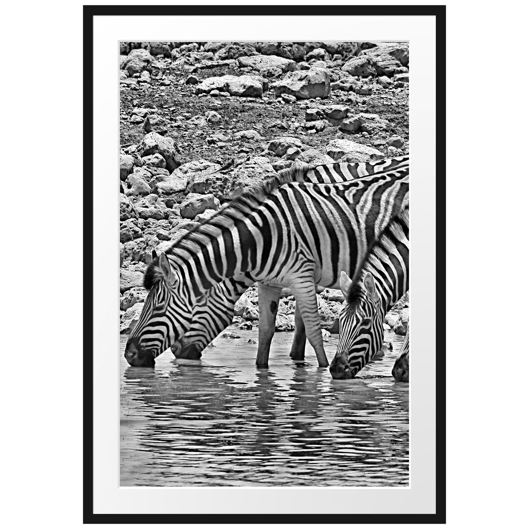 Gerahmtes Poster Zebraherde am Wasserloch