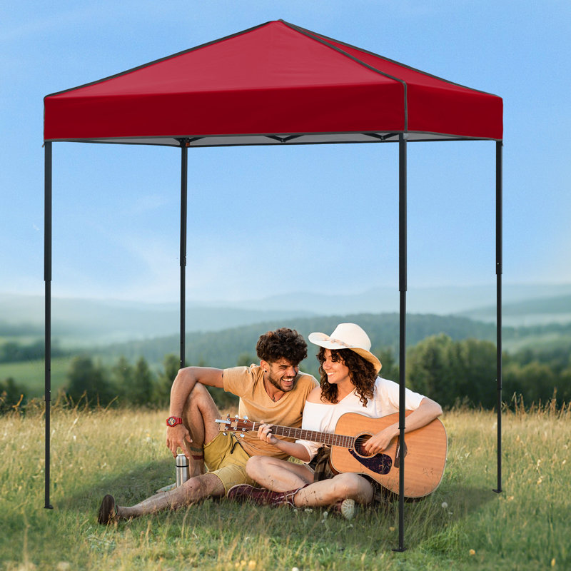 6x4 Canopy Tent, Heavy Duty Pop up Canopy with Carry Bag, Burgundy