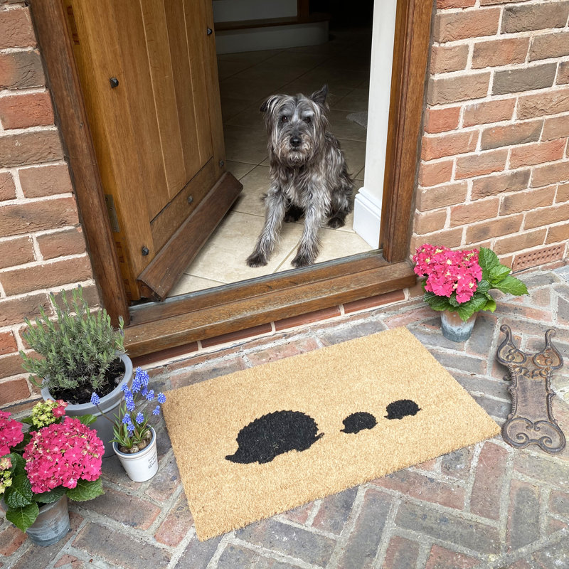 Vickey Non-Slip Doormat