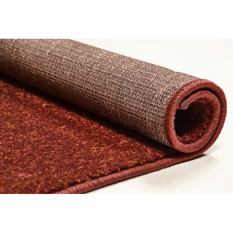 Amiyla Solid Colour Area Rug, Rectangular 67 x 120cm