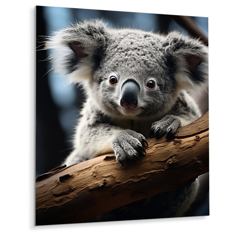 Koala Koalas Serenity - animaux, art mural en métal, salon, H 32 po x l 24 po x P 1 po