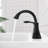 Centerset 2-Handle Bathroom Faucet with Drain Assembly-63970555