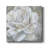 " Bombshell Bloom II "-225316137