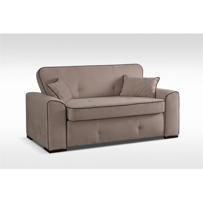 Elfreda 2 Seater Sofa Bed