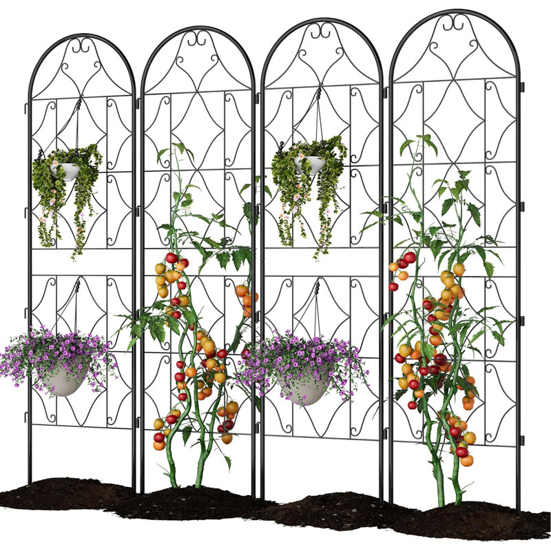 189.99cm H x 54.86cm W Metal Arched