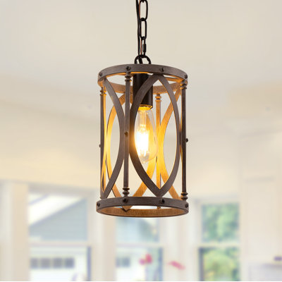 Luminaire suspendu en acier inoxydable à 1 lumière Aneesaa