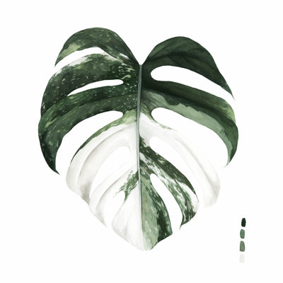 «Variegated Monstera I» par Grace Popp - peinture sur toile tendue