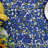 Digeni Rectangle Floral Cotton Tablecloth