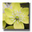 «Yellow Blossom» par PhotoINC Studio-816870736