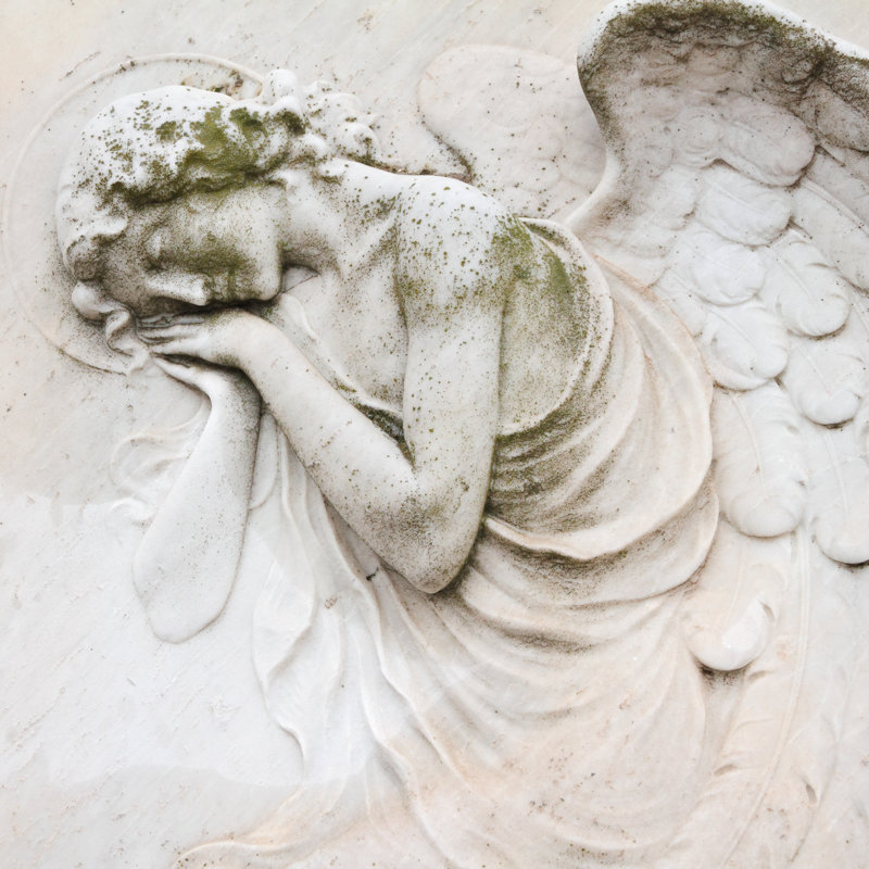 Sleeping Angel - Wrapped Canvas Print, 76cm H x 76cm W x 3.8cm D