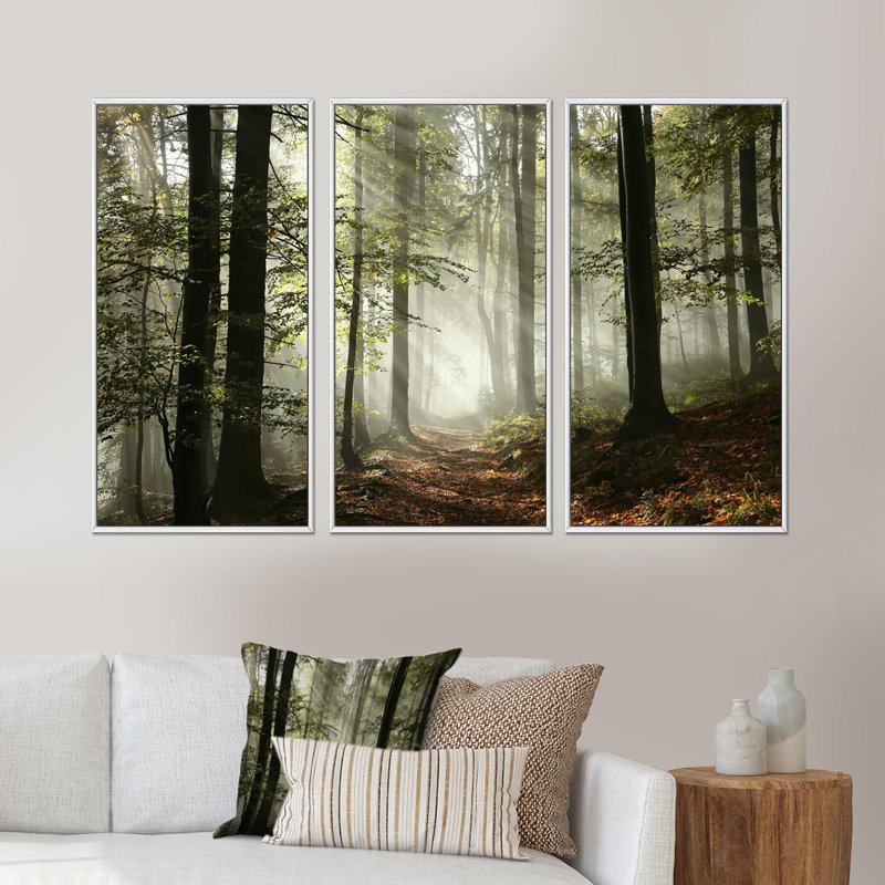«Light In Dense Fall Forest With Fog», ensemble d'art mural sur toile encadré paysage, H 20 po x l 36 po, Blanc
