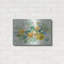 Winston Porter «Blooming Splendor 2» par Danhui Nai, art mural en métal-861842899