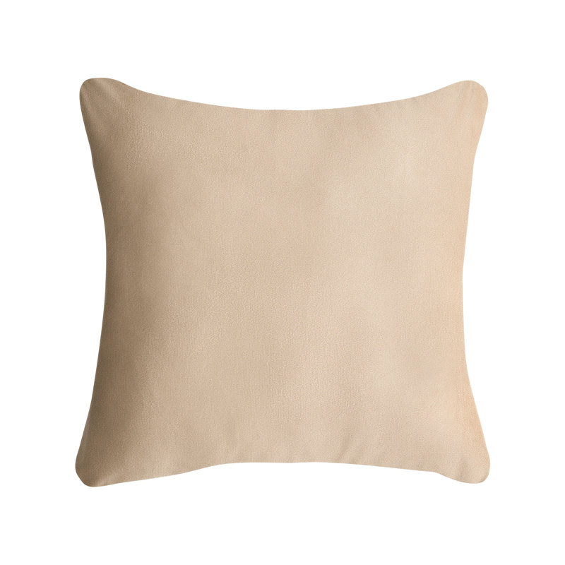 Throw Cushion