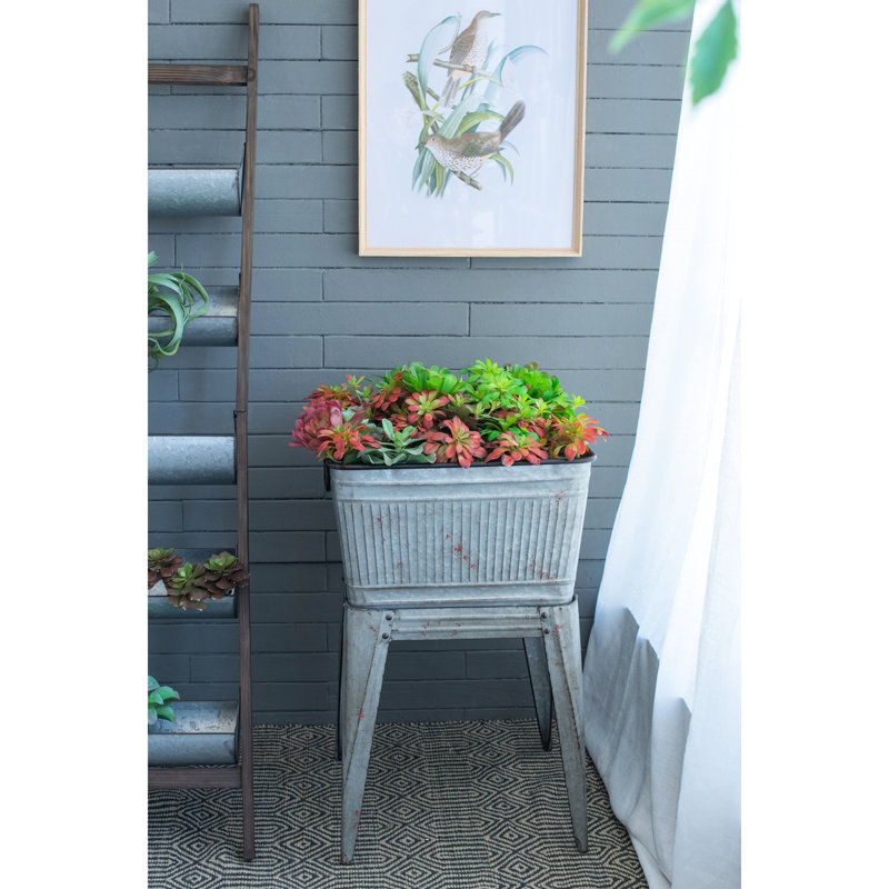 Baignoire en fer galvanisé 20,5X20,5X21 pouces pour le divertissement et les pots de plantes