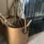 Customer photo 2 of 2