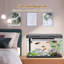 Ensemble de démarrage d'aquarium avec éclairage à DEL, pompe à eau, décoration de plantes aquatiques, mini aquarium rectangulaire de bureau, décoration de table pour le bureau-139845131
