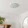 Shoop 1-Light 43cm Flush Mount