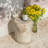 Chariese 15'' Outdoor Concrete Side Table-372492038-356043629