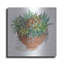 «Terracotta Succulents II» par Cindy Jacobs-1259425440
