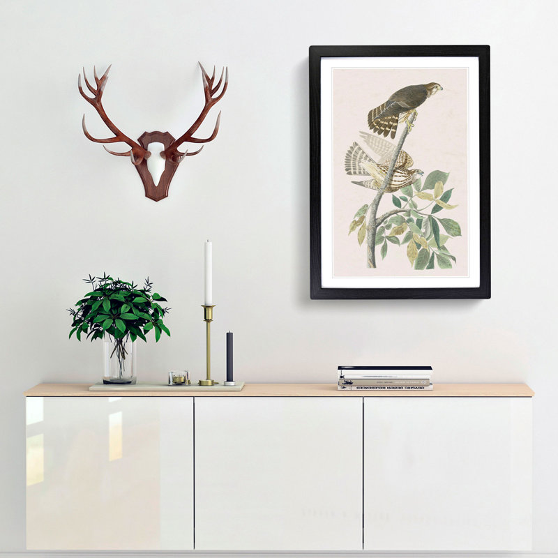 Pigeon Hawks by John James Audubon - Picture Frame Painting Print, 65cm H x 48cm W x 2cm D, Black Framed