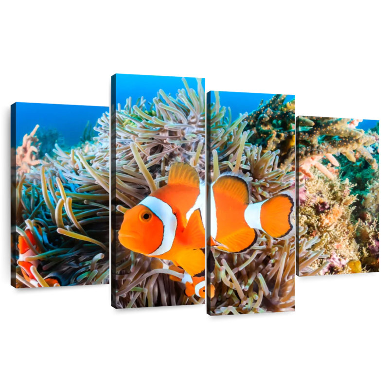 Fish Swimming, H 22 po x l 36 po