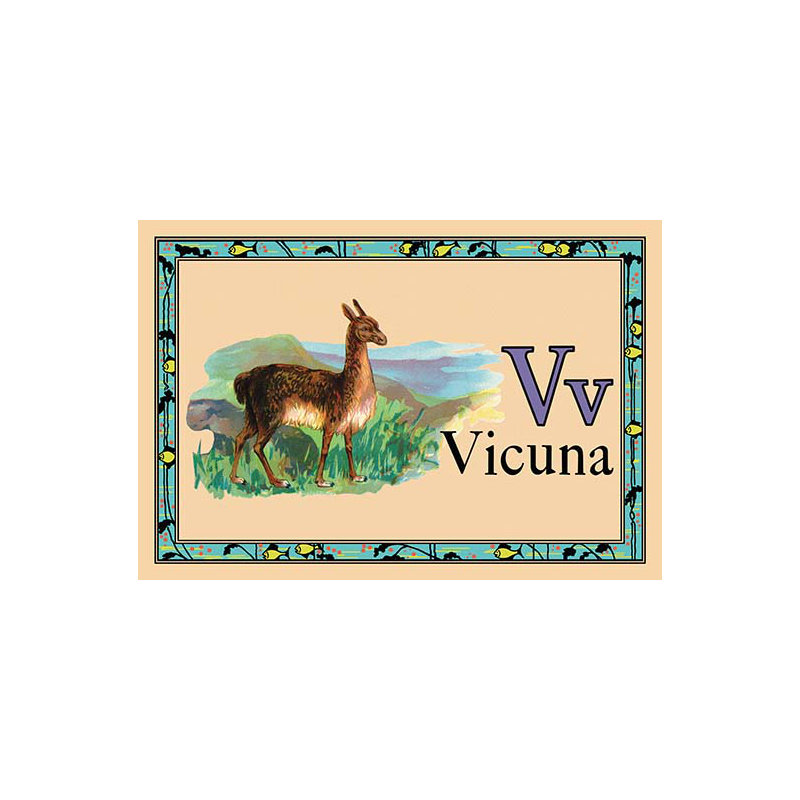 Impression vicuna