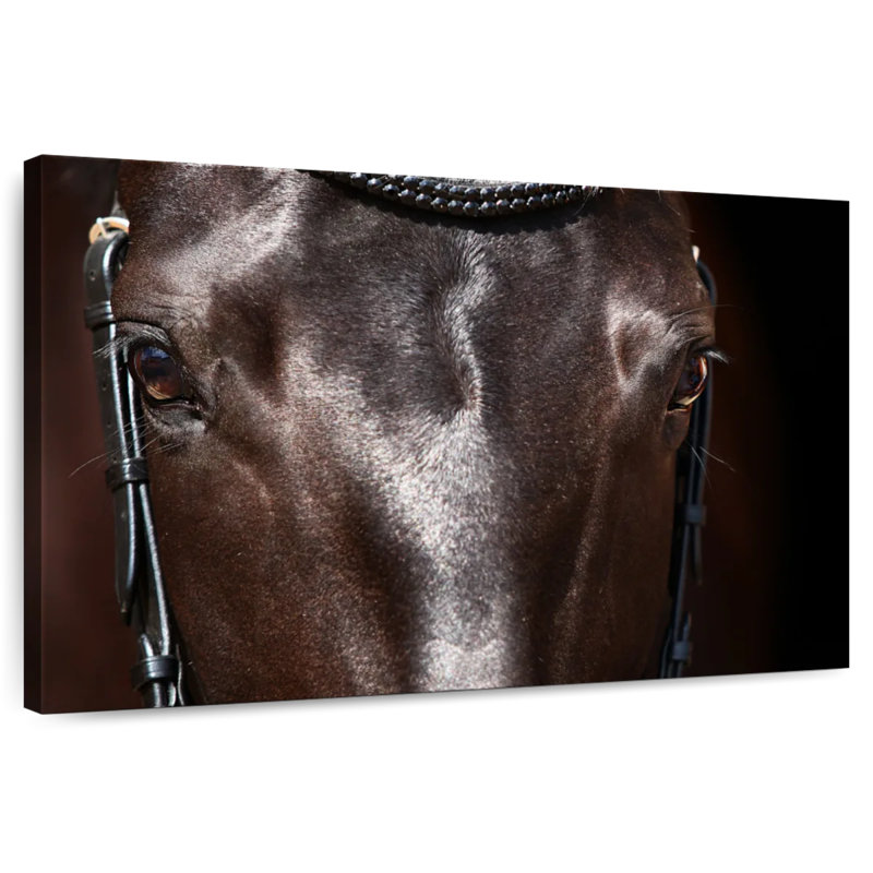 Brampt Horse Face, 24" H x 36" W