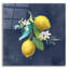 Art mural en verre «Lemon Branches 2» par Danhui Nai-946589751