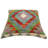 Tarsha Geometric Throw Pillow
