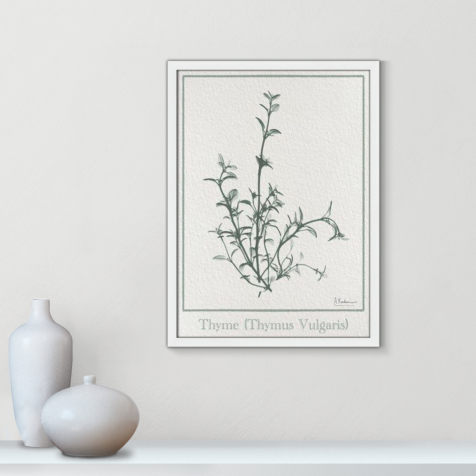 Jeanette "Thymus Vulgaris" Print, 23" H x 17" W x 1.25" D, White Framed Paper