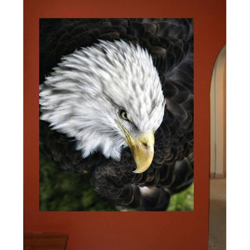 Batie Non-Wall Damaging Wall Decal, 48" H x 38.5" W