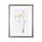 Orchid II by Gabrielle Campbell a Framed Art Print Matted under Glass