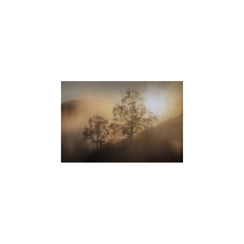 Wrapped Canvas Print, 60.96 cm H x 91.44 cm W