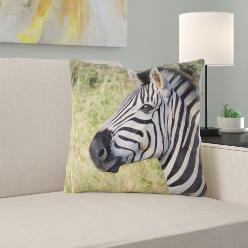 Coussin sud afrique south