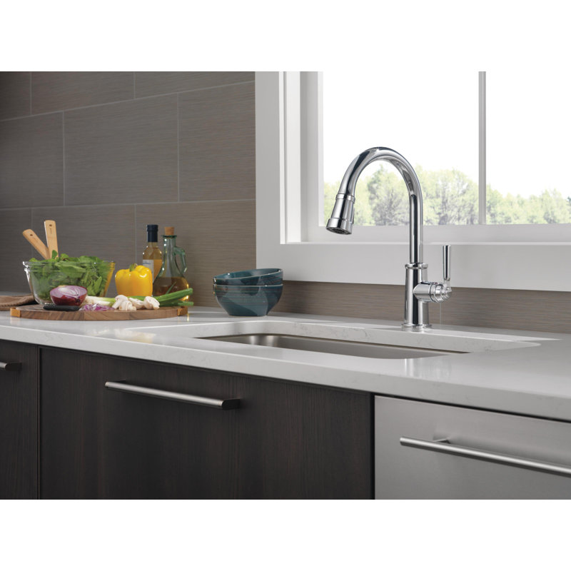 Robinet de cuisine à poignée simple Westchester avec accessoires, Chrome chrome