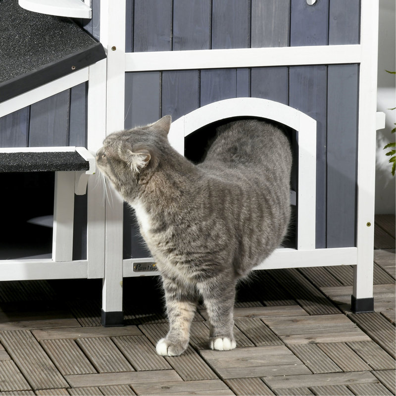 Abri pour chat extérieur - Toit et lit de jardin à entrées multiples pour chats lourds de 15 lb et plus, gris avec intempéries