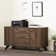 Boneita 47.75'' Wide 2 - Drawer Filing Credenza