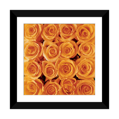 « orange rose creation », impression sur toile