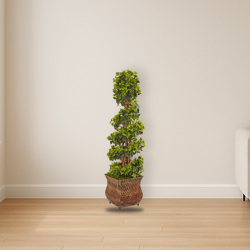 English Ivy Spiral Tree in Planter