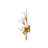 Leda 4 Light Wall Sconce