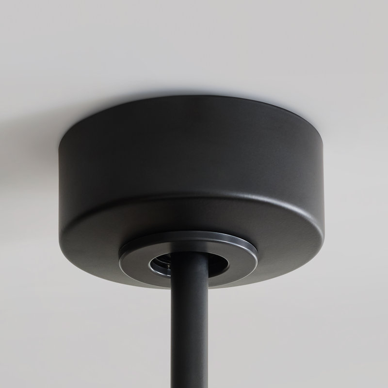  Paddle Smart 52 Indoor Ceiling Fan with Threaded Downrod, Oak ABS blades and Handheld Remote, Midnight Black, Oak