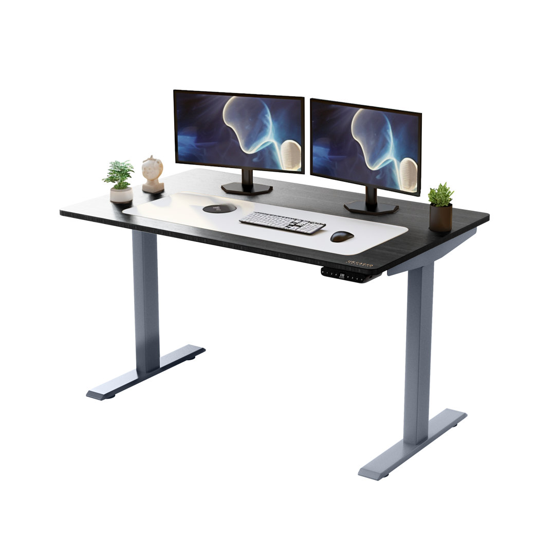 Juliet Adjustable Solid Wood Top Metal Base Standing Desk Latitude Run® Color 