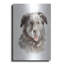 Art mural en métal Winston Porter «Dog Portrait 1» par Katrina Pete-897113347